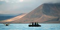Whale watching from zodiacs off the coast of Yttygran Island in Russian Arctic